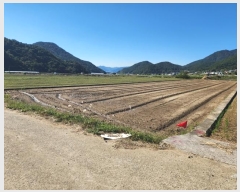  2024Ÿ38522 泲 ر   674-22      ()