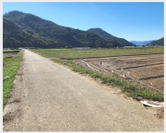  2024Ÿ38522 泲 ر   674-22      ()