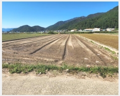  2024Ÿ38522 泲 ر   674-22      ()