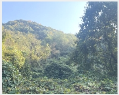  2024Ÿ��38775 �泲 ���ֽ� �̹ݼ��� �ϰ 455      ����(��)���