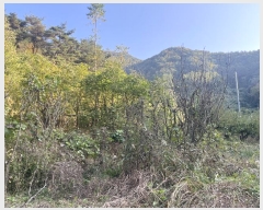  2024Ÿ��38775 �泲 ���ֽ� �̹ݼ��� �ϰ 455      ����(��)���