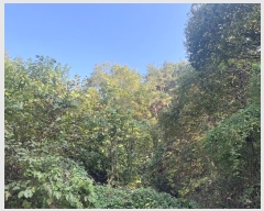  2024Ÿ��38775 �泲 ���ֽ� �̹ݼ��� �ϰ 455      ����(��)���