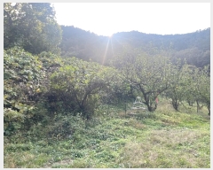  2024Ÿ��38775 �泲 ���ֽ� �̹ݼ��� �ϰ 455      ����(��)���