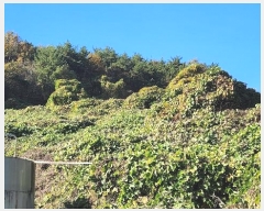  2024Ÿ38942 泲 ر  ȫ 464      (Ӿ)