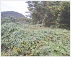  2024Ÿ38942 泲 ر  ȫ 464      (Ӿ)