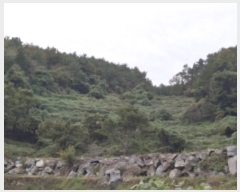  2024Ÿ38942 泲 ر  ȫ 464      (Ӿ)