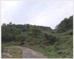  2024Ÿ38942 泲 ر  ȫ 464      (Ӿ)