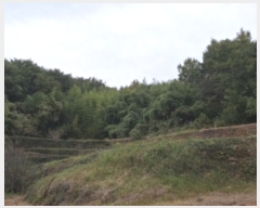  2024Ÿ38942 泲 ر  ȫ 464      (Ӿ)