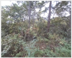  2024Ÿ38942 泲 ر  ȫ 464      (Ӿ)