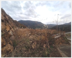  2024Ÿ��39365 �泲 ��û�� ��õ�� �ܰ��� ��116-1      ����(�Ӿ�)���