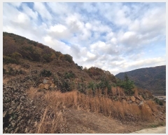  2024Ÿ��39365 �泲 ��û�� ��õ�� �ܰ��� ��116-1      ����(�Ӿ�)���