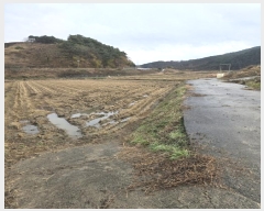  2024Ÿ39440 泲 û ʸ  1294      ()