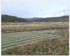  2024Ÿ39440 泲 û ʸ  1294      ()