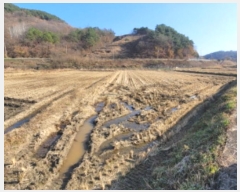  2024Ÿ39440 泲 û ʸ  1294      ()