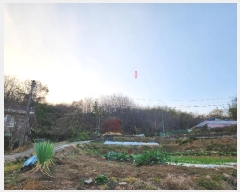  2024Ÿ��39518  �Ӿ߰��