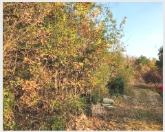  2024Ÿ��39518  �Ӿ߰��