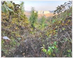  2024Ÿ��39518  �Ӿ߰��