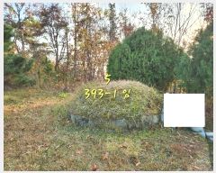  2024Ÿ��39518  �Ӿ߰��