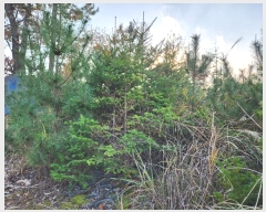  2024Ÿ��39518  �Ӿ߰��