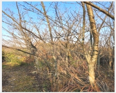  2024Ÿ��39518  �Ӿ߰��