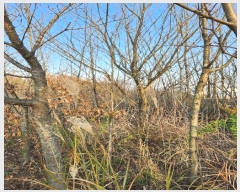  2024Ÿ��39518  �Ӿ߰��