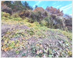  2024Ÿ39587 泲 ر   1173-15      ð