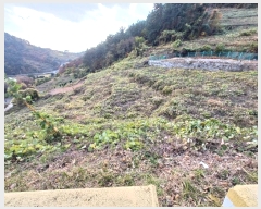  2024Ÿ39587 泲 ر   1173-15      ð