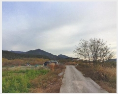  2024Ÿ39655 泲 õ   535-11      ()