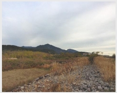  2024Ÿ39655 泲 õ   535-11      ()