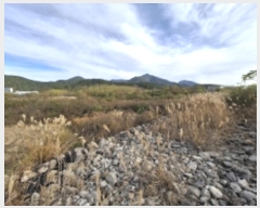  2024Ÿ39655 泲 õ   535-11      ()