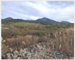  2024Ÿ39655 泲 õ   535-11      ()