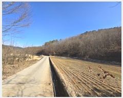  2024Ÿ39945 泲 ֽ  ̸ 104-2      (Ӿ)