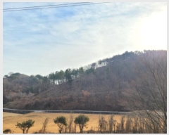  2024Ÿ39945 泲 ֽ  ̸ 104-2      (Ӿ)