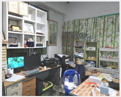  2024Ÿ40242 泲 ֽ Ϲݼ â̸ 81-12      ,繫ǰ