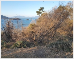  2024Ÿ40365 泲 õ Ǿȵ 805       (1)