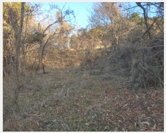  2024Ÿ40365 泲 õ Ǿȵ 805       (1)