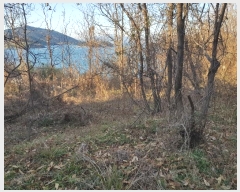  2024Ÿ40365 泲 õ Ǿȵ 805       (1)