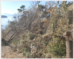  2024Ÿ40365 泲 õ Ǿȵ 805       (1)