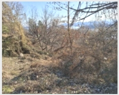  2024Ÿ40365 泲 õ Ǿȵ 805       (1)