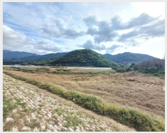  2024Ÿ5874 泲 ϵ ϵ  1494-23      ()