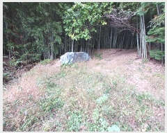  2024Ÿ5874 泲 ϵ ϵ  1494-23      ()