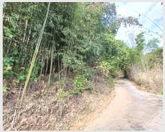  2024Ÿ5874 泲 ϵ ϵ  1494-23      ()