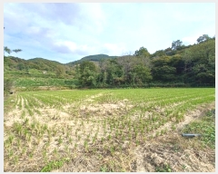  2024Ÿ5874 泲 ϵ ϵ  1494-23      ()