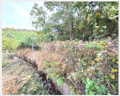  2024Ÿ5874 泲 ϵ ϵ  1494-23      ()