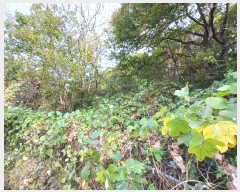  2024Ÿ5874 泲 ϵ ϵ  1494-23      ()