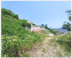  2024Ÿ��34117 �泲 ��õ�� ���� ������ 1191-13      ����(����)���