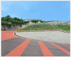  2024Ÿ��34117 �泲 ��õ�� ���� ������ 1191-13      ����(����)���