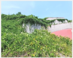  2024Ÿ��34117 �泲 ��õ�� ���� ������ 1191-13      ����(����)���