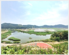  2024Ÿ��34117 �泲 ��õ�� ���� ������ 1191-13      ����(����)���