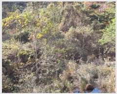  2024Ÿ��39297  �����ü����